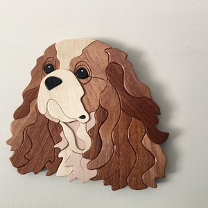 King Charles Cavalier Intarsia
