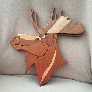 Moose
