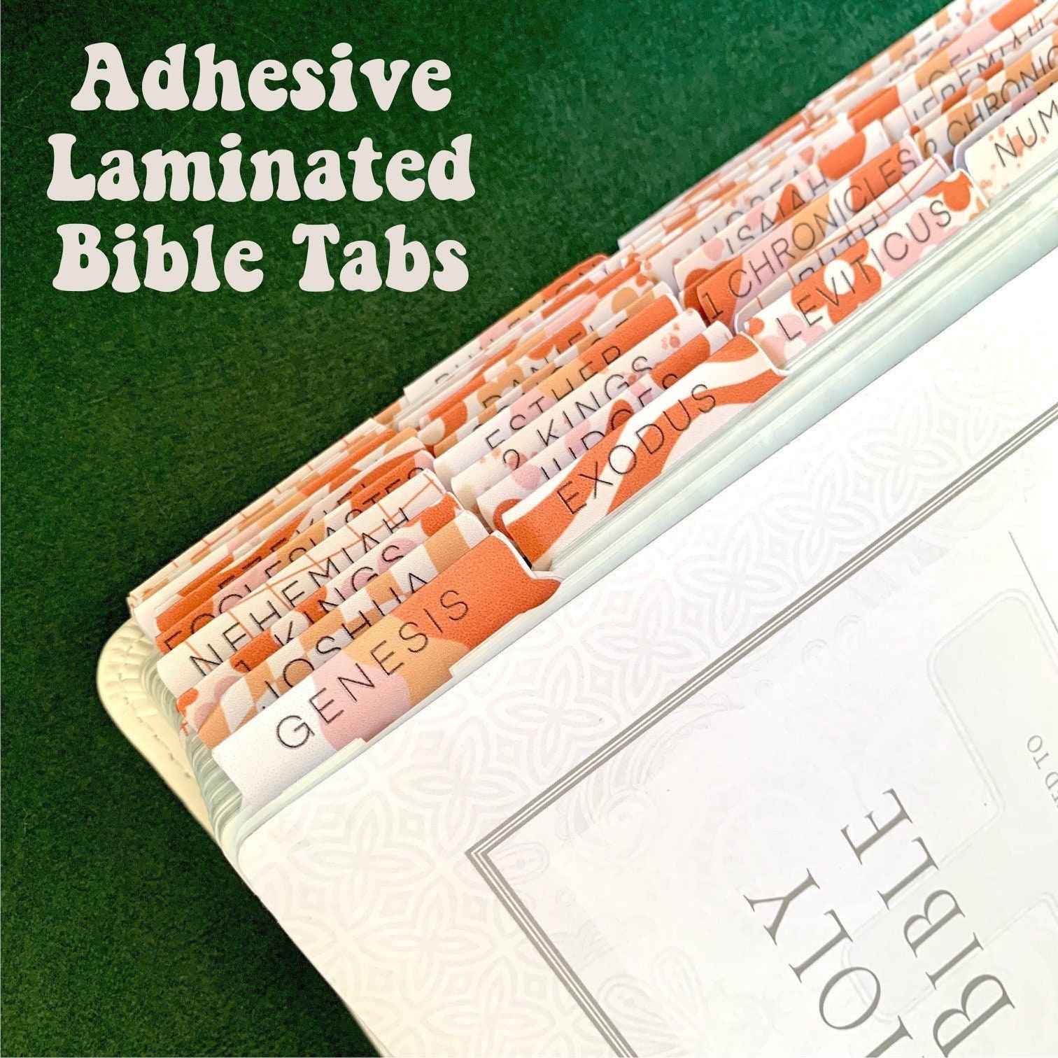 222 Tabs Laminated Journaling Supplies Bible Old And New Testament Book NEW