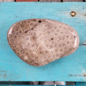 Polished White Petoskey Stone 11.7oz
