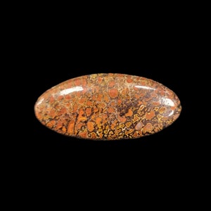 Small Gembone Elongated oval Cabochon, Dinosaur bone