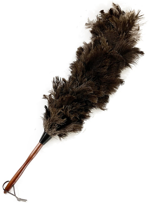 How to Clean a Feather Duster (and Other Duster Types)