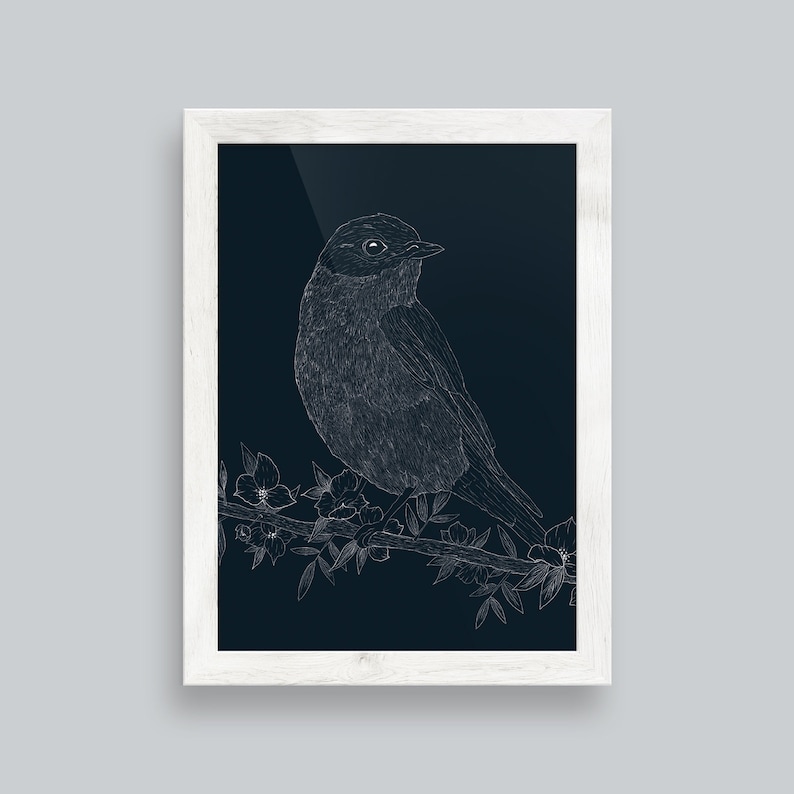 Bird Illustration Bird Print Bird Poster Bluebird 11x14 Art Print