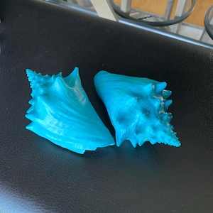 May include: Two bright turquoise sea shells with prominent spiky ridges and a glossy finish. The shells feature a spiral structure with sharp points along the edges, showcasing a vibrant, saturated blue-green color throughout their surfaces.