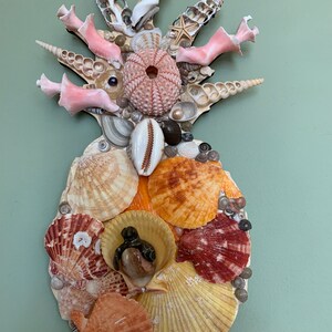 May include: A pineapple-shaped wall art piece made of various seashells, including a sea urchin, starfish, and a variety of scallop shells. The piece is decorated with pink and white coral-like shells.