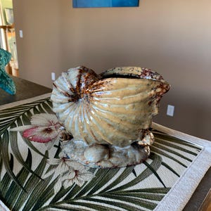 Puede incluir: Una maceta de cerámica con forma de concha de nautilo con un esmalte brillante moteado en tonos beige y marrón. La base presenta pequeñas conchas esculpidas integradas en el diseño, proporcionando estabilidad al recipiente.