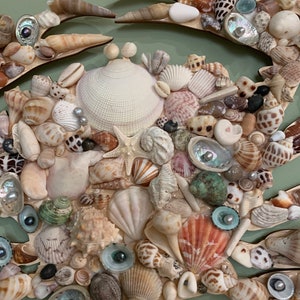 Large Crab Sea Shell Art - Etsy