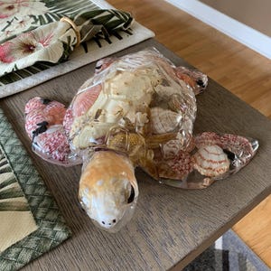 Tortuga marina extragrande de 30 x 30 cm para decoración de patio, jardín y hogar con temática náutica playera.