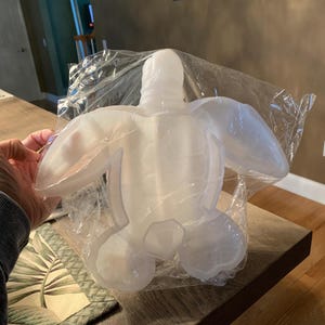 Może przedstawiać: Przezroczysty, biały przedmiot w kształcie żółwia trzymany jest w przezroczystej plastikowej torbie. Żółw ma szczegółowy pancerz i płetwy. Przedmiot leży na drewnianym stole.