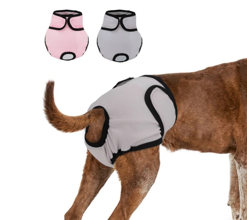 Reusable Dog Diaper Pant Physiological 