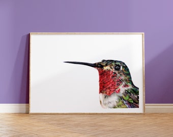 Hummingbird Print | A5 Print | Broad Tailed Hummingbird | Wildlife Gift