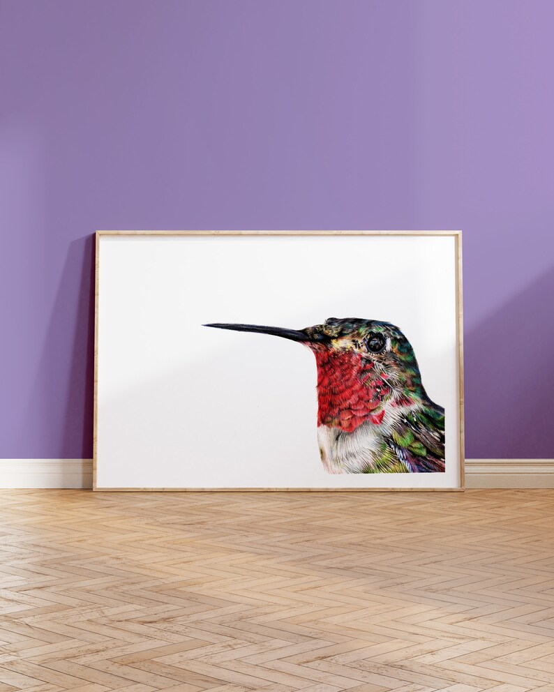 Hummingbird Print A5 Print Broad Tailed Hummingbird Wildlife Gift image 1