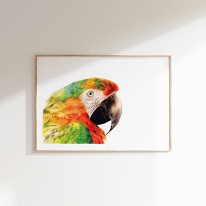 Shamrock Macaw Print A5 Print Parrot Coloured Pencil Art Wildlife Gift image 2