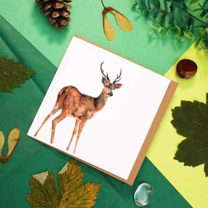 Fallow Deer Greetings Card, Hand Drawn Wildlife Art