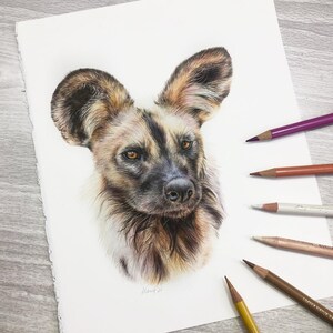 African Wild Dog Print A5 Art Print African Wildlife Gift image 3