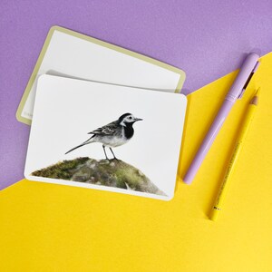 Set of 5 Garden Bird Postcards image 4
