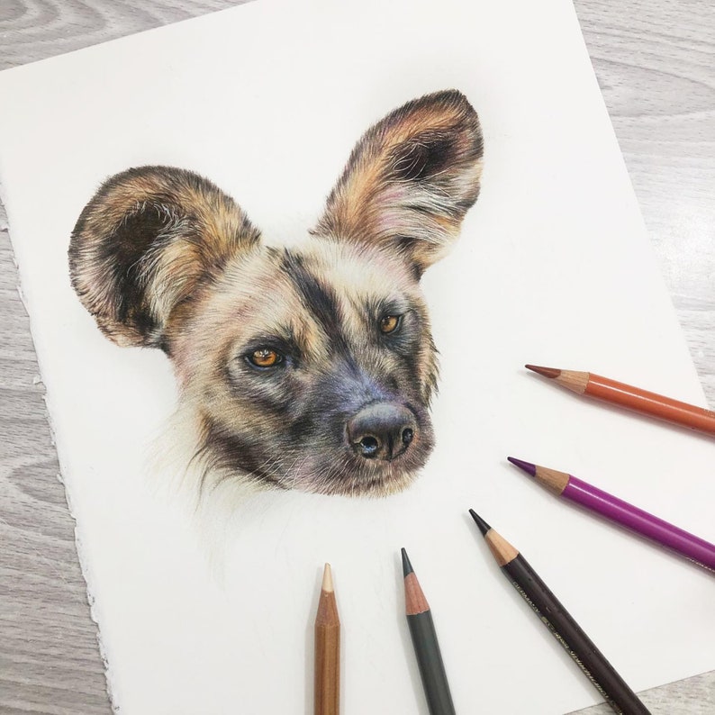 African Wild Dog Print A5 Art Print African Wildlife Gift image 4