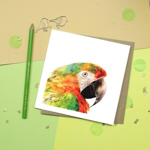 Bird Card / Macaw Card / Greetings Card / Blank Inside / Wildlife Card image 2