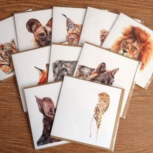 Wildlife Cards / Pack of 10 / Greetings Card / Blank Inside / Wildlife Mammals