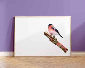 Bullfinch A5 Print | Garden Bird | Wildlife Gift