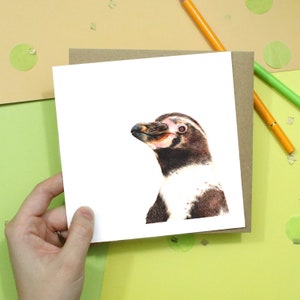 Bird Card / Penguin Card / Greetings Card / Blank Inside / Wildlife Card