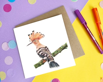 Hoopoe Wild Animal Card / Bird Card / Bird Greetings Card / Blank Inside / Wildlife Card