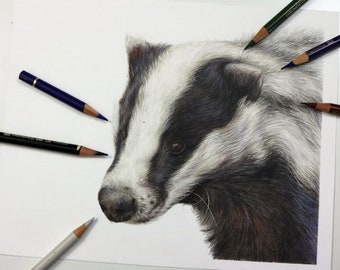 Badger Original Art Study | Original Piece