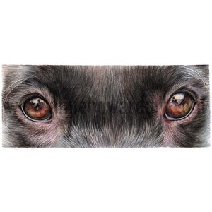 Black Labrador Original Art Eye Study Black Dog Original Piece image 1