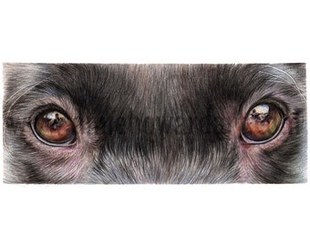 Black Labrador Original Art Eye Study | Black Dog | Original Piece