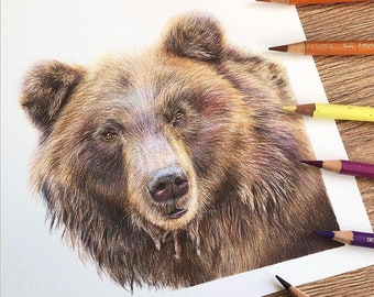 Brown Bear Original Art Study | Original Piece