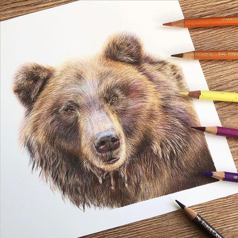 Brown Bear Original Art Study Original Piece image 1