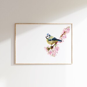 Blue Tit and Blossom A5 Print Garden Bird Wildlife Gift image 2