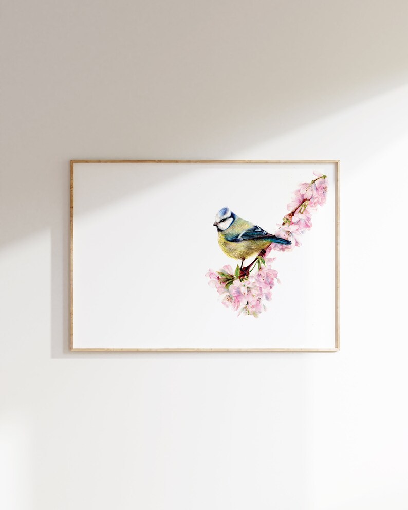 Blue Tit and Blossom A5 Print Garden Bird Wildlife Gift image 2