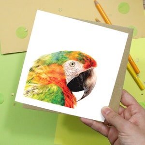 Bird Card / Macaw Card / Greetings Card / Blank Inside / Wildlife Card image 1