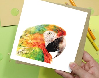 Bird Card / Macaw Card / Greetings Card / Blank Inside / Wildlife Card