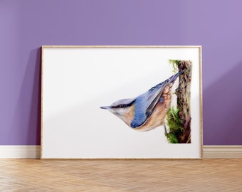 Nuthatch Tit A5 Print | Garden Bird | Wildlife Gift