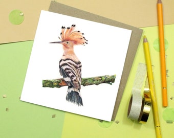 Hoopoe Wild Animal Card / Bird Card / Bird Greetings Card / Blank Inside / Wildlife Card