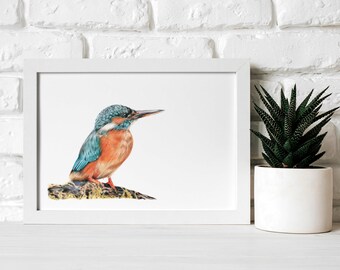 Kingfisher Print | A5 Print | Kingfisher Bird | Wildlife Gift