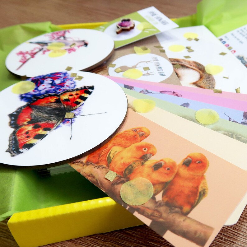 Bird Card / Macaw Card / Greetings Card / Blank Inside / Wildlife Card image 6