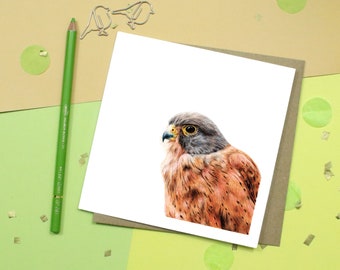 Kestrel Card / Bird Card / Blank Inside / Bird Of Prey
