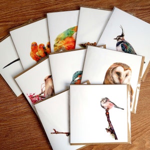 Bird Cards / Pack of 10 / Greetings Card / Blank Inside / Wildlife Cards