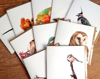 Bird Cards / Pack of 10 / Greetings Card / Blank Inside / Wildlife Cards