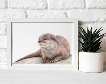 Otter Print | Limited Edition A4 Print | Asian Small-Clawed Otter | Wildlife Gift