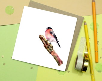 Bullfinch / Bird Greeting Card / Bird Card / Greetings Card / Blank Inside