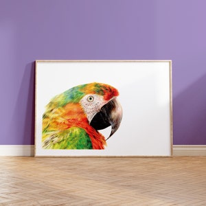 Shamrock Macaw Print A5 Print Parrot Coloured Pencil Art Wildlife Gift image 1