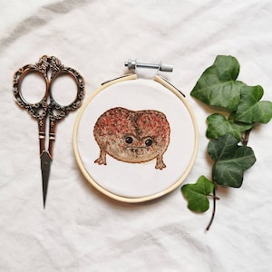Strawberry Rain Frog Embroidery Art