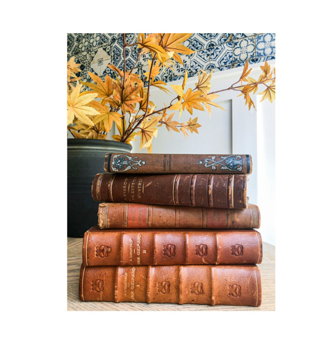 Rare Antique Leather Books Vintage Books Books for Decor Antique Book