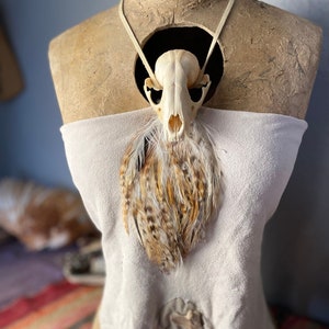 Raccoon Ceremonial Suede Halter Top - Celtic Halter Top - Open Back Festival Top