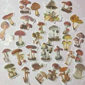 Large Vellum Mushroom Stickers  for Junk Journals Mixed Media Collage Art