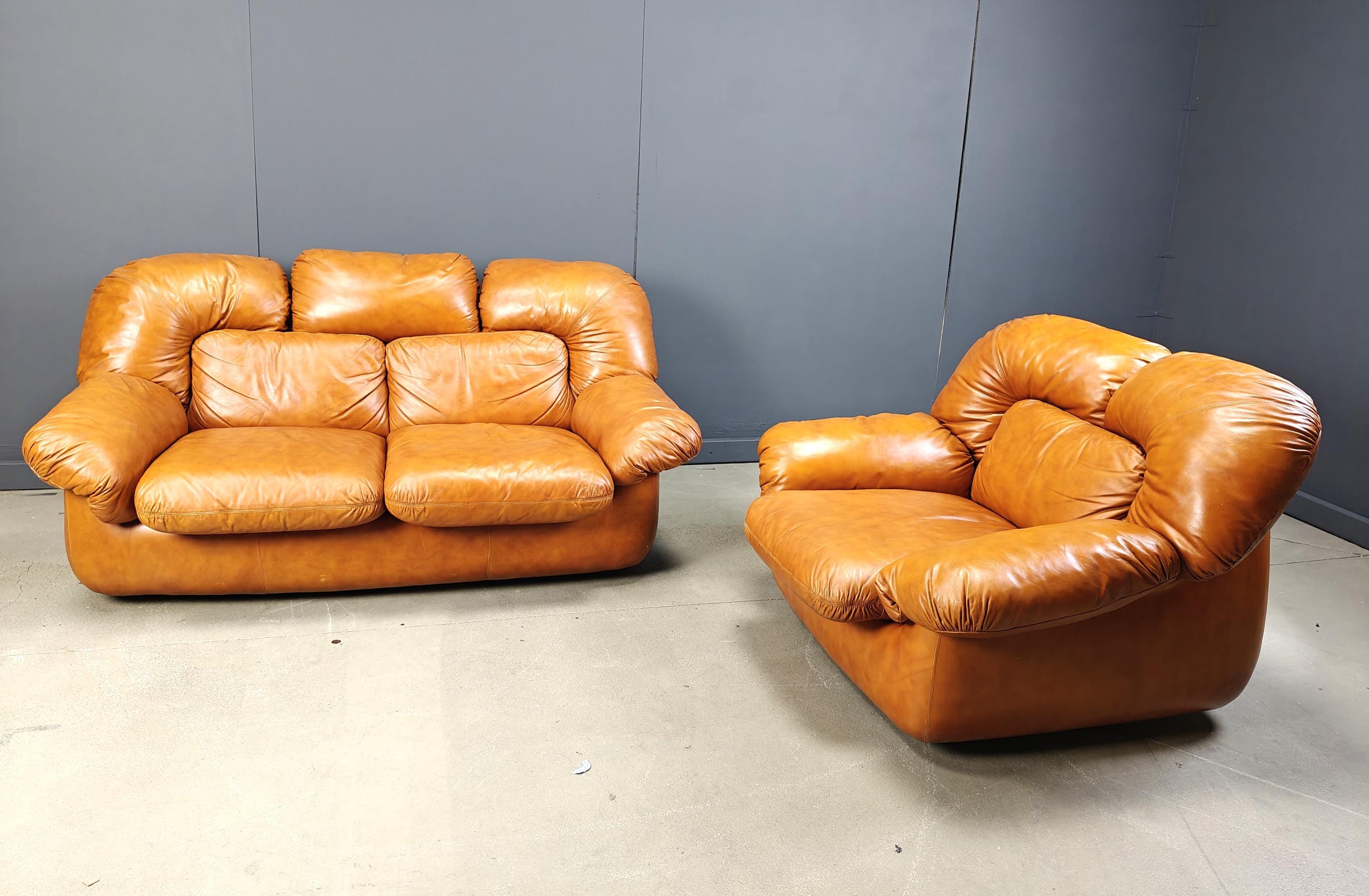 Italian leather sofa France